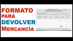 Lee más sobre el artículo Carta De Devolución De Mercancía