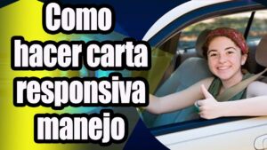 Lee más sobre el artículo Carta Para Licencia De Conducir