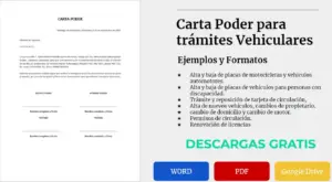 Lee más sobre el artículo Carta Poder Para Sacar Placas